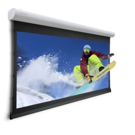 Da-Lite Tensioned Elpro Concept schermo per proiettore 4,11 m (162") 16:10 (10102771)