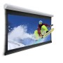 Da-Lite Tensioned Elpro Concept schermo per proiettore 4,11 m (162") 16:10 (10102771)