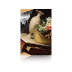 Epson Premium Luster Photo Paper(260), in rotoli da 152, 4cm 30, 5m (C13S042134)