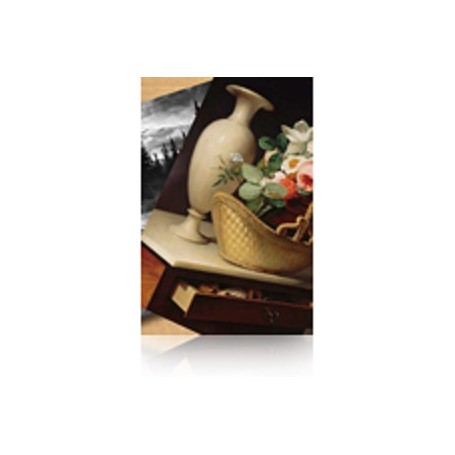 Epson Premium Luster Photo Paper(260), in rotoli da 152, 4cm 30, 5m (C13S042134)