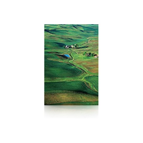 Epson Premium SemiGloss Photo Paper(250), in rotoli da 152, 4cm x 30, 5m (C13S042133)