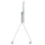 RALLY BOARD 65 CART - WHITE (952-000251)