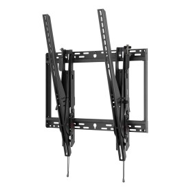 SHARP/NEC PDW T XL-2 (100014891)