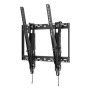 SHARP/NEC PDW T XL-2 (100014891)