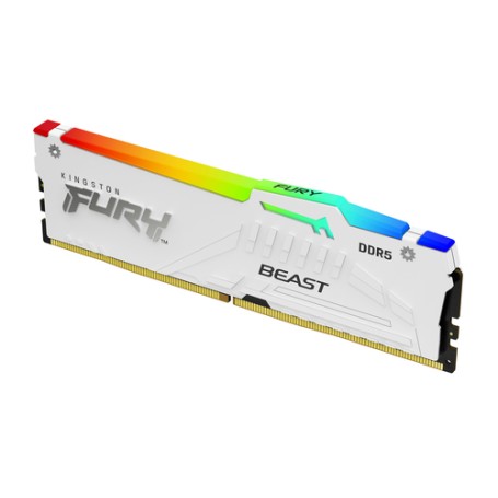 Kingston Technology FURY Beast 16GB 6000MT/s DDR5 CL36 DIMM White RGB EXPO (KF560C36BWE2A-16)