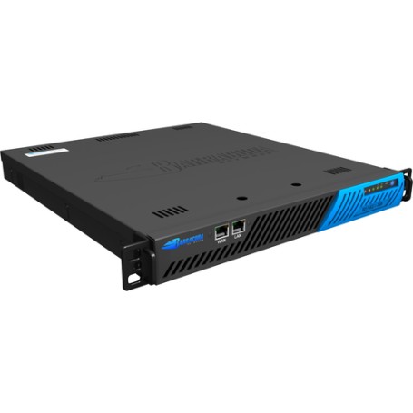 Barracuda Networks Web Filter 310 1 anno/i (BYF310A)