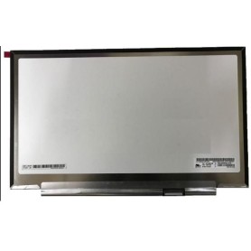 CoreParts MSC1402K30-243M ricambio per notebook Display (MSC1402K30-243M)