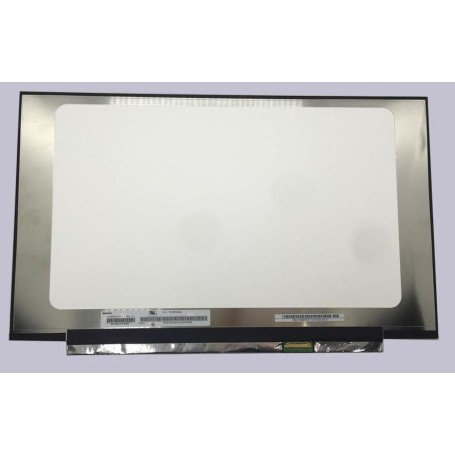 CoreParts MSC156F30-202G ricambio per laptop Display