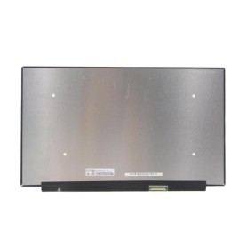 CoreParts MSC156F40-346M ricambio per laptop Display