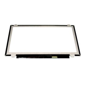 CoreParts MSC140F40-242G ricambio per laptop Display