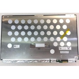 CoreParts MSC1564K40-244M ricambio per laptop Display