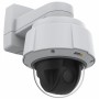 Axis 01752-012 Cupola Telecamera di sicurezza IP Interno e esterno 1920 x 1080 Pixel Parete (01752-301)
