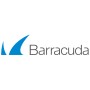 Barracuda Networks Barracuda PST Enterprise (BMAV950A-PST)