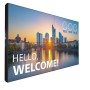 55  FHD 24/7 500CD OPS (55BDL3305X)