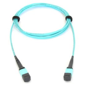 Allied Telesis AT-MTP12-5 cavo a fibre ottiche 5 m MTP (AT-MTP12-1)