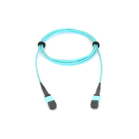 Allied Telesis AT-MTP12-5 cavo a fibre ottiche 5 m MTP (AT-MTP12-1)