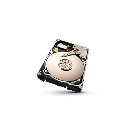 Promise Technology F29VA2S20000009 disco rigido interno 3.5" 2000 GB Seriale ATA II (F29VA2S20000009)