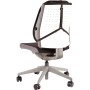 Fellowes 8029901 supporto per schienale della sedia Grafite (8029901)