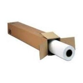 Epson MetallicProof Film, in rotoli da 60, 96cm (24'') x 30, 48m (C13S042377)