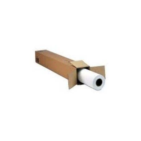 Epson MetallicProof Film, in rotoli da 60, 96cm (24'') x 30, 48m (C13S042377)