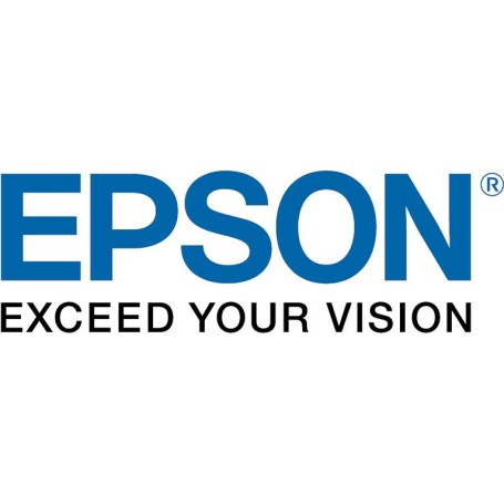 Epson Hard Disk Unit (C12C934551)