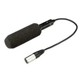 Panasonic AJ-MC900G microfono Nero Microfono per videocamera digitale (AJ-MC900G)