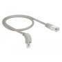 DeLOCK 85873 cavo di rete Grigio 0,5 m Cat6a S/FTP (S-STP) (85873)