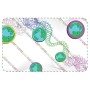 DataCard 504935-005 pellicola per plastificatrice