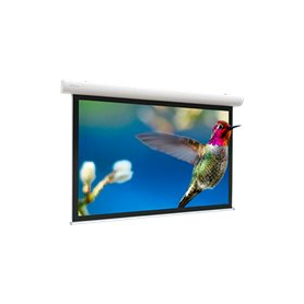 Kindermann Leinwand Elpro Concept 179x280cm,16:10,mws 6001000019 (6001000019)