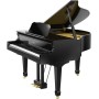 Roland GP609-PE - Digitalflügel mit 6.1-Mehrkanal-Lautsprechersystem PHA-50 Tastatur| (420021A38)