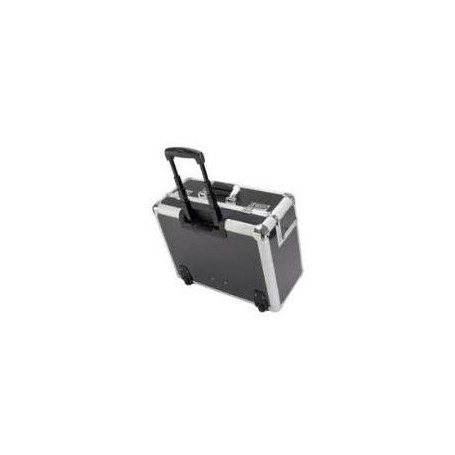 ALUMAXX Pilotenkoffer CARBON, Aluminium, silber / carbon (45129)