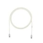 Panduit 20m Cat6 UTP cavo di rete Grigio U/UTP (UTP) (UTP28SP20MGY)