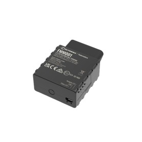 Teltonika FMM001 localizzatore e cercatore GPS Auto Nero