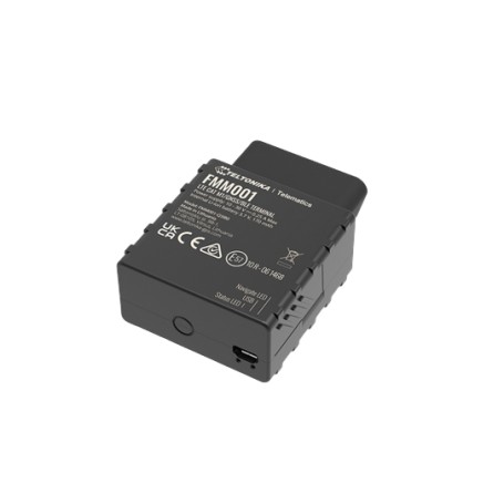 Teltonika FMM001 localizzatore e cercatore GPS Auto Nero