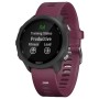 Garmin 010-02120-11 smartwatch 3,05 cm (1.2") 30 mm MIP Nero GPS (satellitare) (010-02120-11)