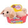 Moose Toys Little Live Pets My Really Real Puppy Mini's - Golden Retriever Buddy (26650)