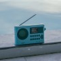 Sangean WFR-28BT Internet Digitale Azzurro (A500494)