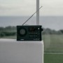 Sangean WFR-28BT Internet Digitale Nero (A500495)
