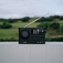 Sangean WFR-28BT Internet Digitale Nero (A500495)