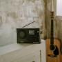 Sangean WFR-28BT Internet Digitale Nero (A500495)