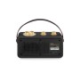 Sangean RA-101 Portatile Analogico Nero, Oro (A500522)