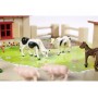 Eichhorn 100004304 action figure giocattolo