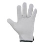 CF12 PA GUANTI 210 TG8 (366048-8)