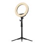 Streamplify Light 14 anello di illuminazione LED (SPIR-LZ14222.11)