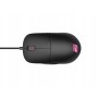 Endgame Gear XM1 RGB mouse Gaming Mano destra USB tipo A Ottico 16000 DPI (EGG-XM1RGB-BLK)
