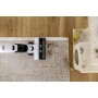 Kärcher FCV 2 Natural N aspirapolvere senza filo Bianco Senza sacchetto (1.056-101.0)