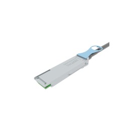 Panduit PQSF2PXC5MBL cavo InfiniBand e in fibra ottica 5 m QSFP28 DAC Nero