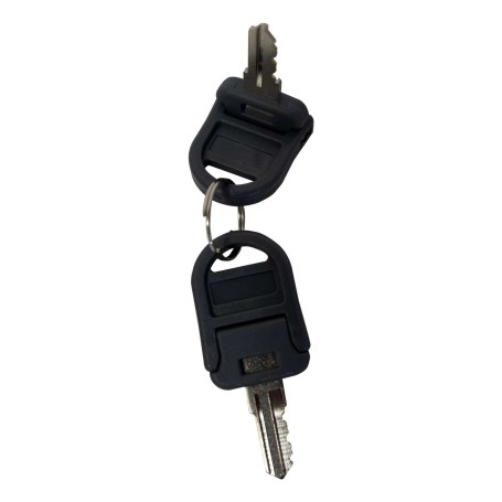 Star Micronics 37950000 accessorio per cassetto portadenaro Chiave