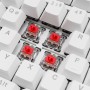 Sharkoon SGK25 white (4044951041817)