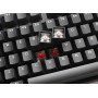 Ducky Origin Phantom Black tastiera Universale USB QWERTZ Tedesco Nero (DKOR2308I-CADEPDOECLAAA1)